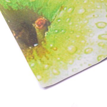 Adesivo de Mesa Sapore Qualidade de vida Maça Verde 12x8cm