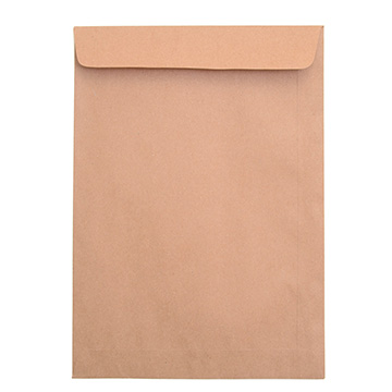 Envelope Saco Kraft Natural 176x250mm PCT 10UN