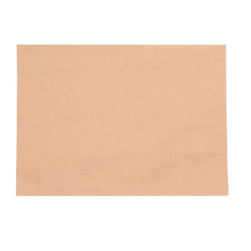 Envelope Saco Kraft Natural 250x353mm PCT 10UN