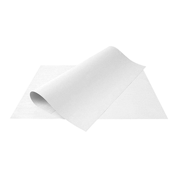 Cartolina Go Office Branca 120g 50x66cm PCT 10fls