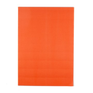 Etiqueta Papel Imp. Portão 10,5x5cm 90g Laranja PCT 150fls