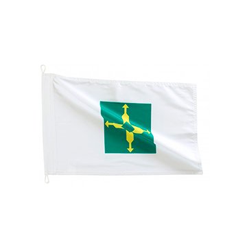 Bandeira do GDF 1.80 x 2.56cm