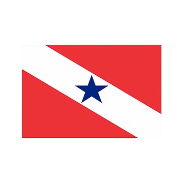 Bandeira Estadual Pará 1,35 x 1,93M Externa