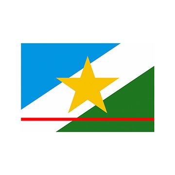 Bandeira Estadual Roraima 1,35 x 1,93M Externa