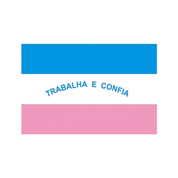 Bandeira Estadual Espírito Santo 0,90 x 1,28M Interna