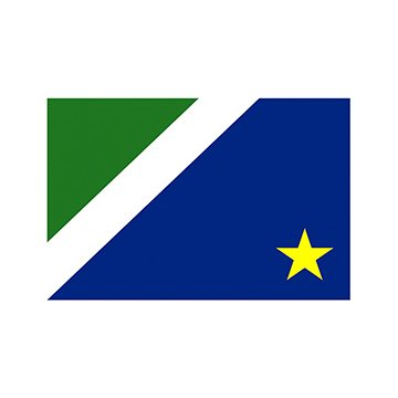 Bandeira Estadual Mato Grosso do Sul 0,90 x 1,28M Interna