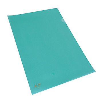Pasta L ACP 1134 Oficio 230x335 0.15mm Verde PCT 10UN