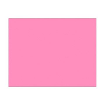 Placa de EVA 40x60cm Rosa PCT 10UN
