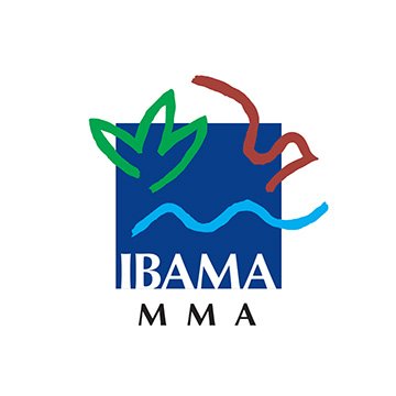 Bandeira Ibama 1,35 x 1,93M